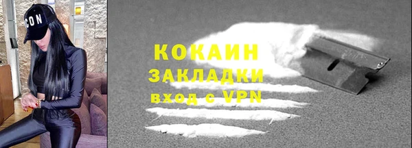 гашик Михайлов