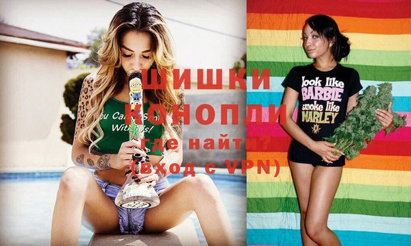 гашик Михайлов
