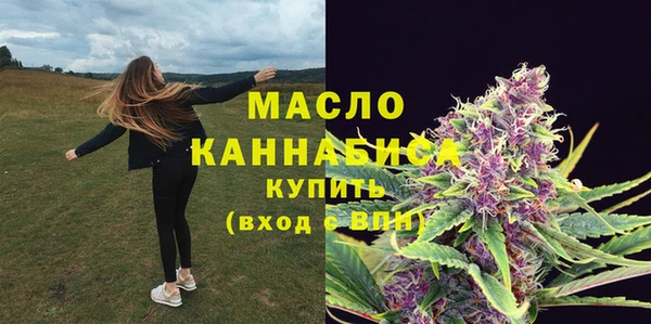 гашик Михайлов