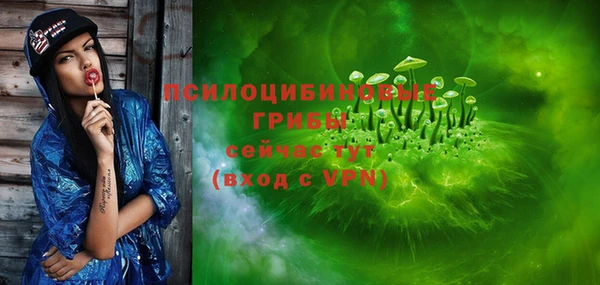 гашик Михайлов