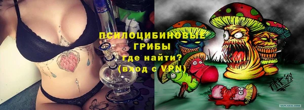 ешки Михайловск