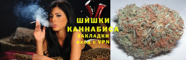 гашик Михайлов
