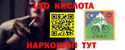 дмт Донецк