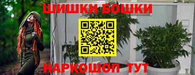 индика Беслан