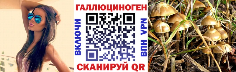 купить наркотики цена  площадка телеграм  KRAKEN tor  Галлюциногенные грибы Cubensis  Шумерля 