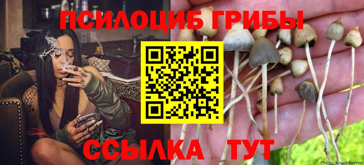 Псилоцибиновые грибы Psilocybe  Вход с VPN  Галлюциногенные грибы Cubensis  Шумерля 